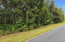 NE 206th Avenue, Old Town, FL 32680