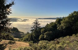 Mountain King RD, Lagunitas, CA 94938