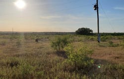 956 Cr-1990, Chico, TX 76431