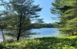 Eldred, NY 12732