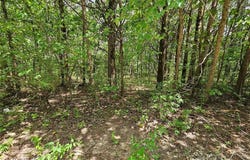 9480 Bent Tree Drive, Hillsboro, MO 63050