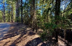 1200 Pine Forest Dr, Hayfork, CA 96041