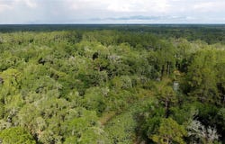 7200 Norway Street, Webster, FL 33597