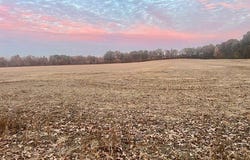 County Road 237, Bloomfield, MO 63825