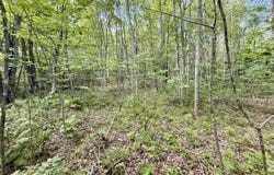 W Washington Road, Washington, ME 04574
