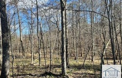 0TBD Santa Clause Ln, Stuart, VA 24171