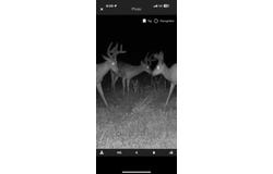 490 Kelley Road, Reading, MI 49274