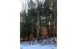 Friedman Road, Harris, NY 12742