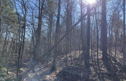 Tutweiler Road, Oakman, AL 35579