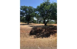 19828 Antelope Creek Drive, Cottonwood, CA 96022