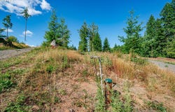 S Silver Lake Rd, CastleRock, WA 98611