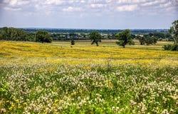 0000 Egypt Lane, Washington, TX 77880