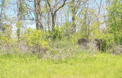 7133 US Highway 12, Three Oaks, MI 49128