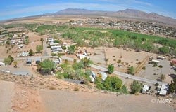 Cactus, Littlefield, AZ 86432