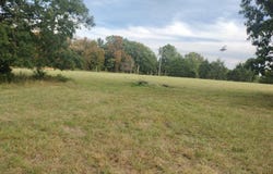 Shady Oak DR, Mountain View, AR 72560