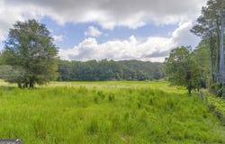 West Avenue, Lavonia, GA 30553