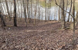 MOHAWK CLIFF ROAD lot: 5, OHATCHEE, AL 36271