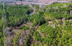 Co Rd 26, Plantersville, AL 36758