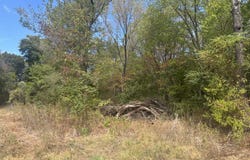 CR 2222, Pittsburg, TX 75686