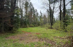 ON BEARSKULL RD, Park Falls, WI 54552