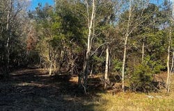 Bellingrath Road, Theodore, AL 36582