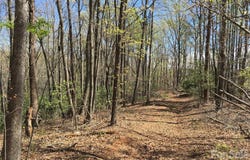 Lytle Mountain Road, Marion, NC 28752