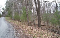 Forest Hill Drive lot: 75, Sparta, NC 28675