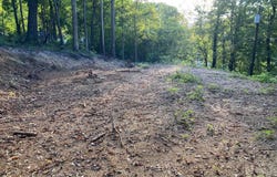 311 W Chestnut St, LaFollette, TN 37766