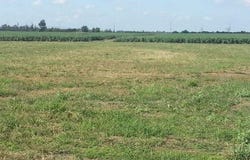 1209 Lawrence, Sikeston, MO 63801