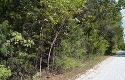 Waldon Ridge, Lampe, MO 65681