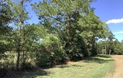 145 CR 043, Jasper, TX 75951