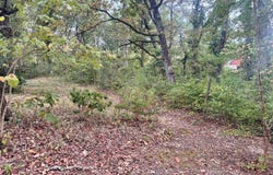 32545 Highway 8 E, Gore Springs, MS 38929