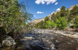 348 Crown Point Dr, Bellvue, CO 80512