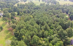 Reedy Creek Rd., LAUREL, MS 39443