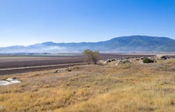 Edward Street, Tehachapi, CA 93561
