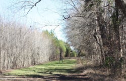 2650 Joe Miley Road, Brunson, SC 29911