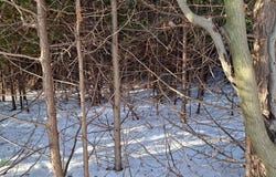County Rd E, Baileys Harbor, WI 54202