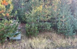 277 DIAMOND HITCH Dr, Kellogg, ID 83837