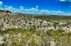 Marfa, TX 79843