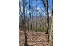 Watson Cove Rd., Franklin, NC 28734