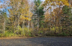 Birch Lane, Clayton, NY 13624