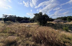 285 Brooklyn Dr, Mountain Home, TX 78058