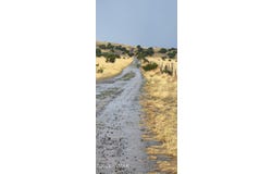 19 N5232, Concho, AZ 85924