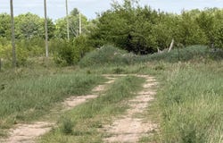 12822 M-123, MI 49868