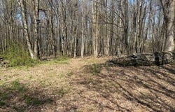 CHAFFEE, Liberty, NY 12754