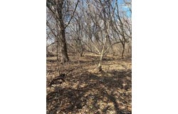 VL Herbst, Genoa Twp, MI 48114