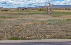 TBD Lot 20 Apple Grove Street, Montrose, CO 81401