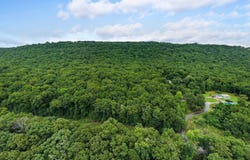 Highway 41, Guild, TN 37340