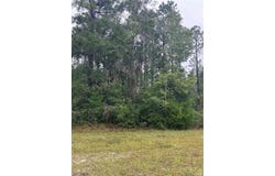 NE 77TH Court, BRONSON, FL 32621