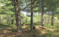 S Long Lake Rd, Siren, WI 54872